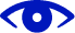 Vision insurance icon